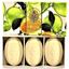 La Florentina Sabonete Boboli Citrus Caixa C/3