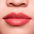 Shiseido Lápis e Primer Labial InkDuo