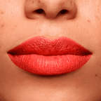 Shiseido Lápis e Primer Labial InkDuo