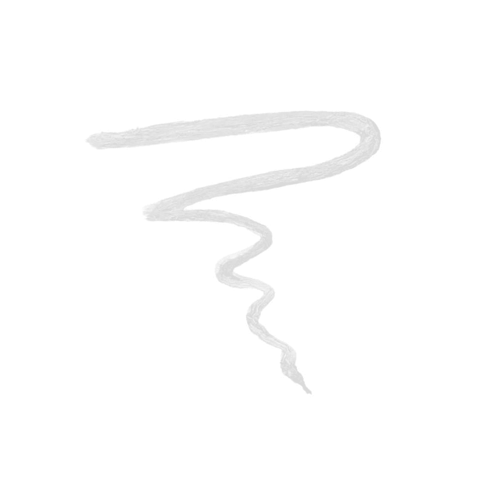 Shiseido Lápis de Olho MicroLiner Ink