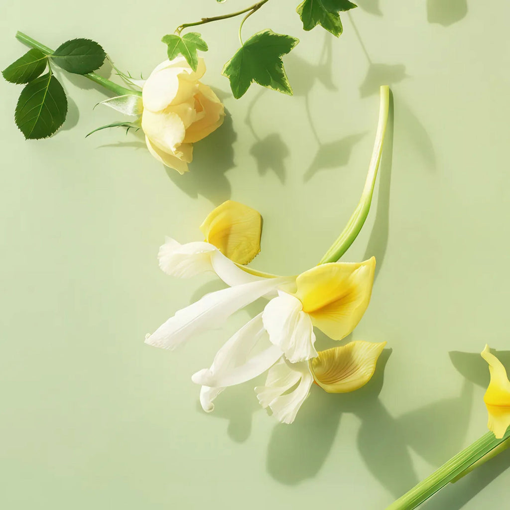 Coffret Veleiro Iris Luminoso Floririental Kit Desodorante Colônia