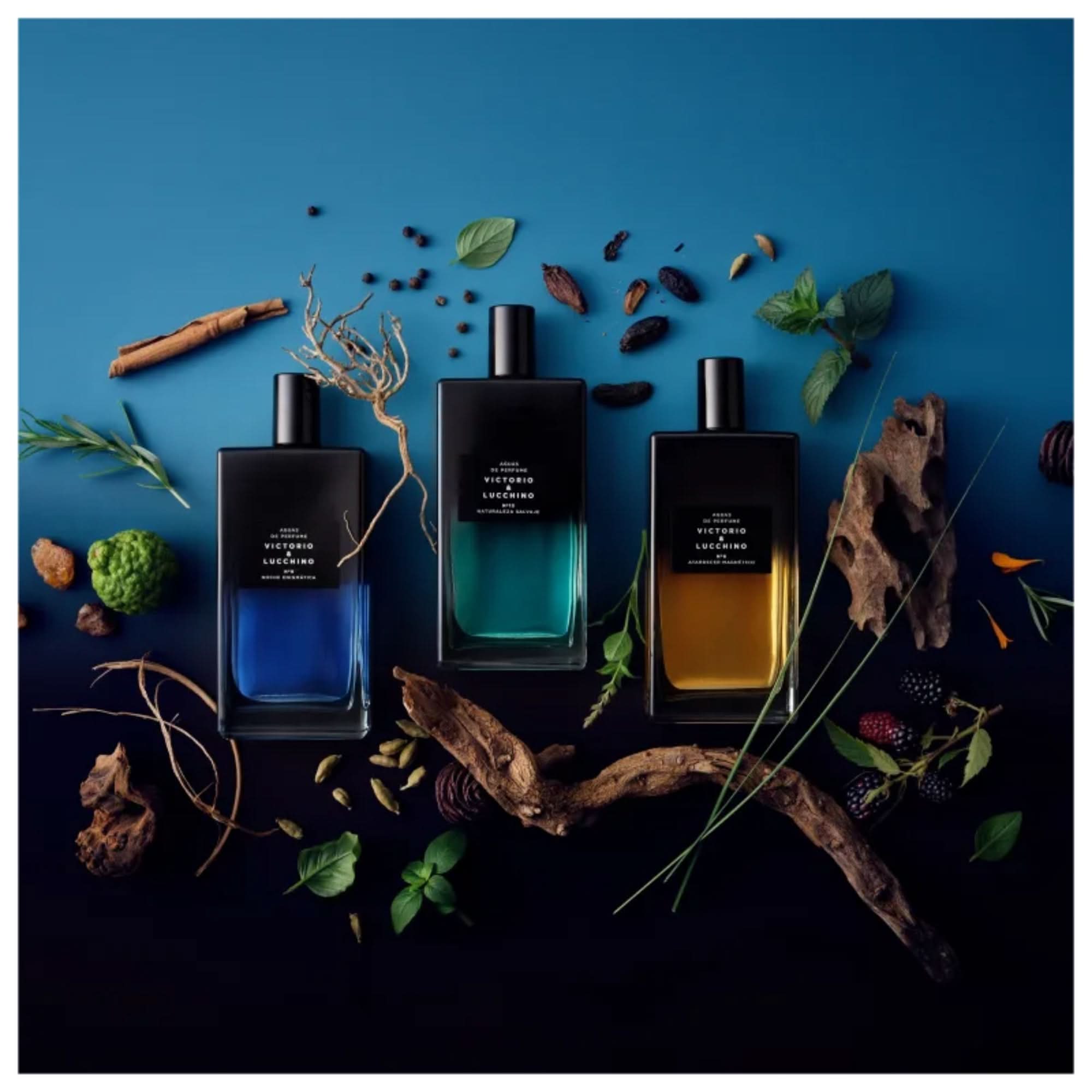 Victorio & Lucchino Atardecer Magnético Nº8 Him Eau de Parfum