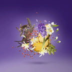 Xerjoff Purple Accento Eau de Parfum