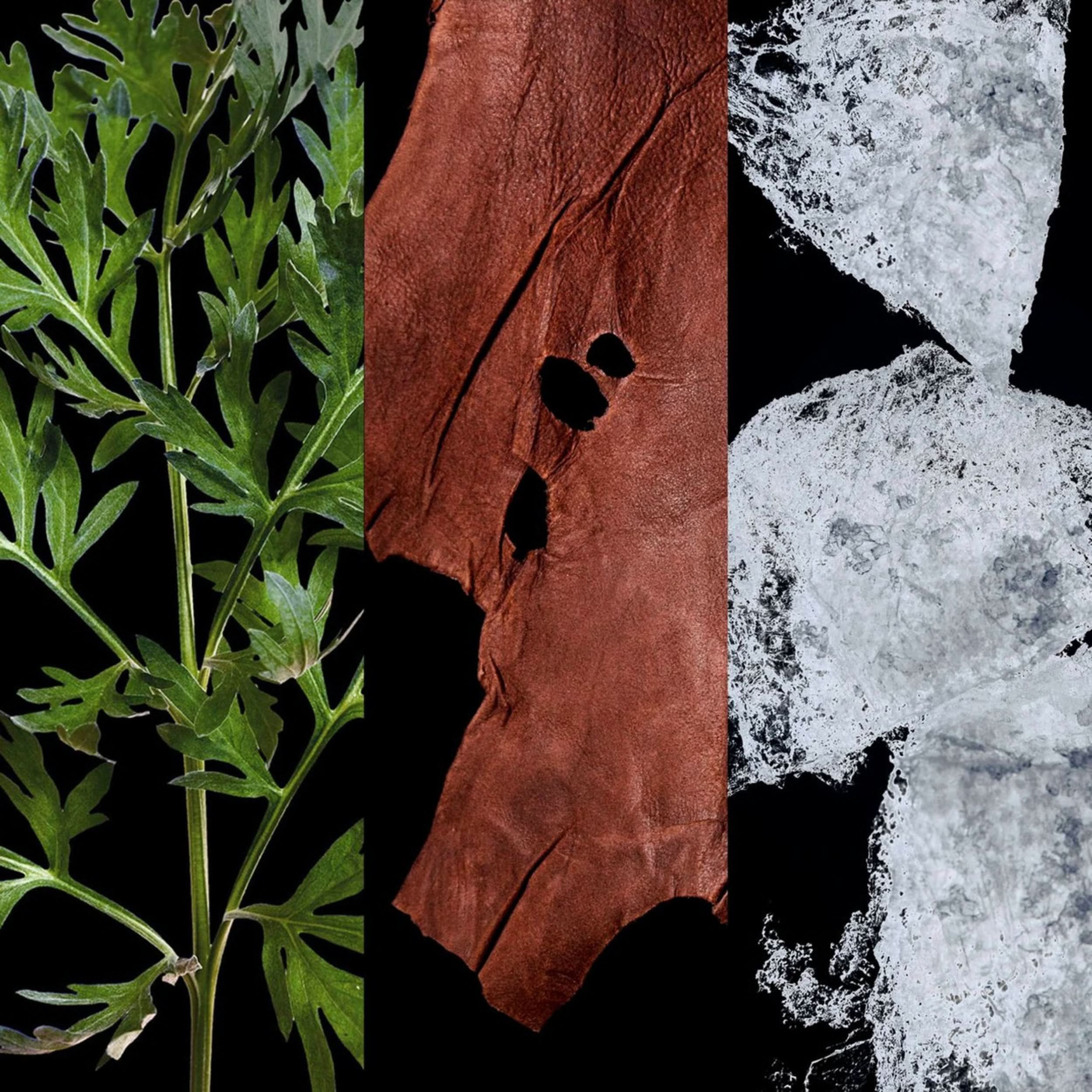 Kit Coffret Carolina Herrera 212 VIP Black 100ml Eau de Parfum + Gel de Banho Masculino