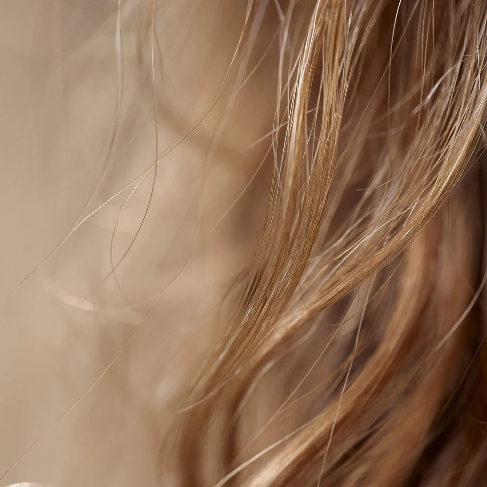 Sisley Hair Rituel Masque Soin Nutrition