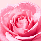 Nuxe Água Micelar Very Rose Soothing