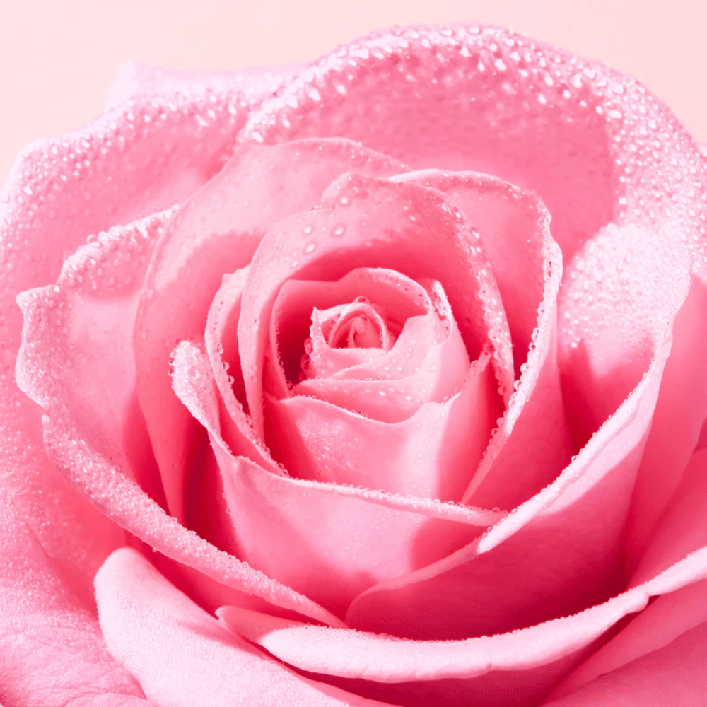 Nuxe Água Micelar Very Rose Soothing