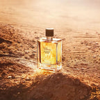 Hermès Terre D'Hermès Eau Intense Vetiver Eau de Parfum Masculino