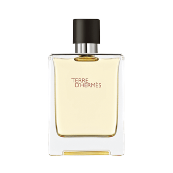 Hermès Terre d’Hermès Eau de Toilette Masculino Imagem principal do produto