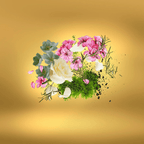 Casamorati Casafutura Eau de Parfum Unissex