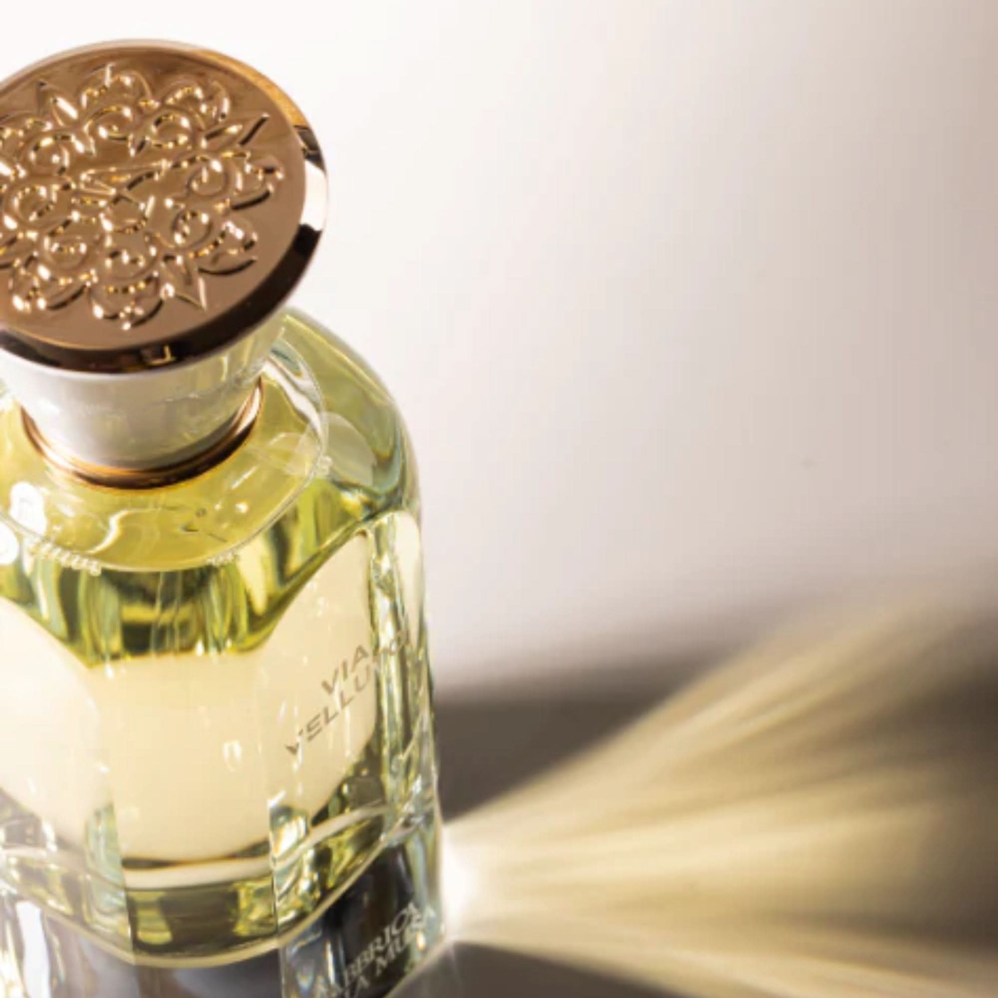 Fabbrica Della Musa Via Velluto Eau de Parfum