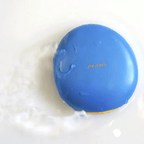 Shiseido Compact Case for Foundation