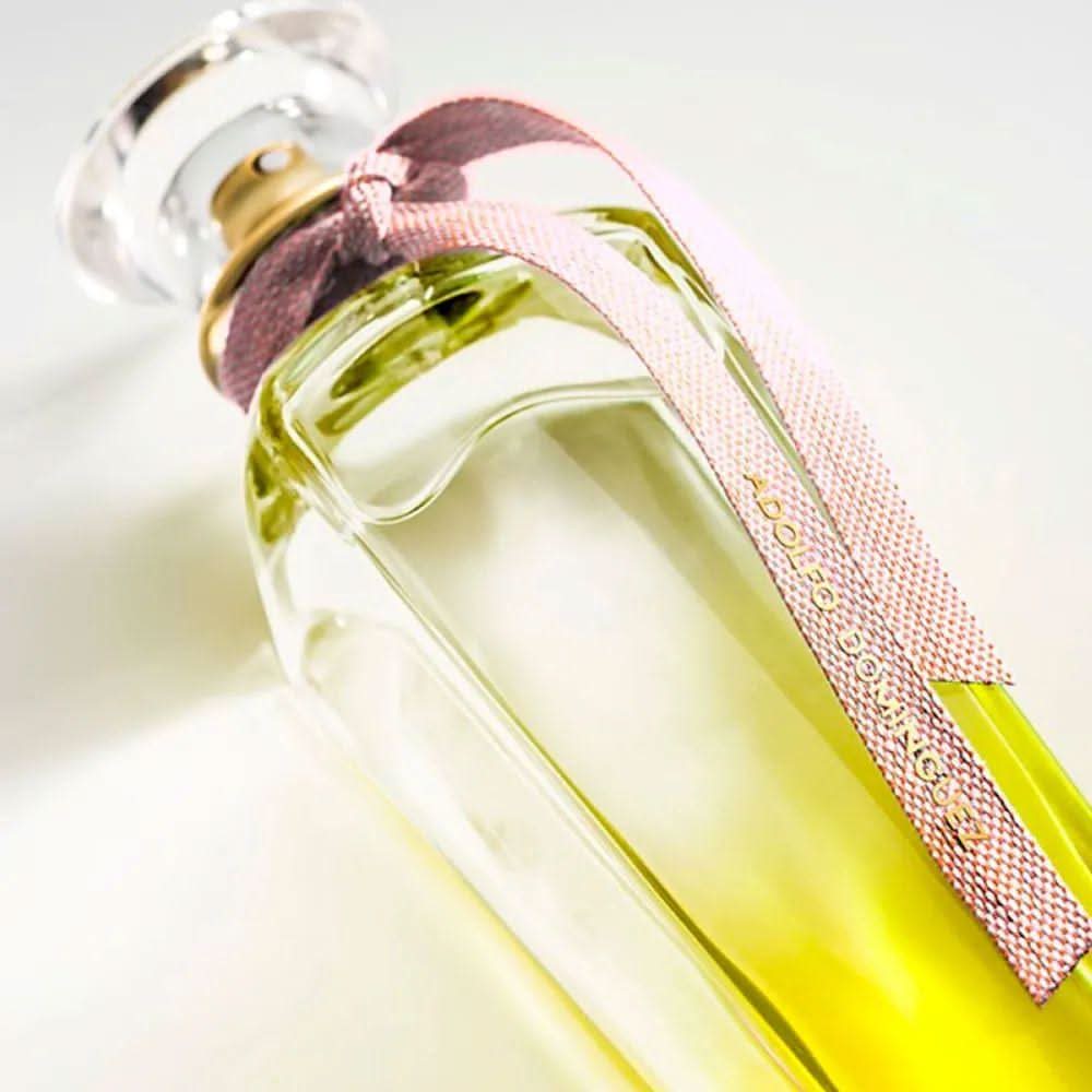 Adolfo Dominguez Água Fresca de Mimosa Coriandro Eau de Toilette Feminino