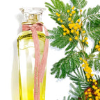 Adolfo Dominguez Água Fresca de Mimosa Coriandro Eau de Toilette Feminino