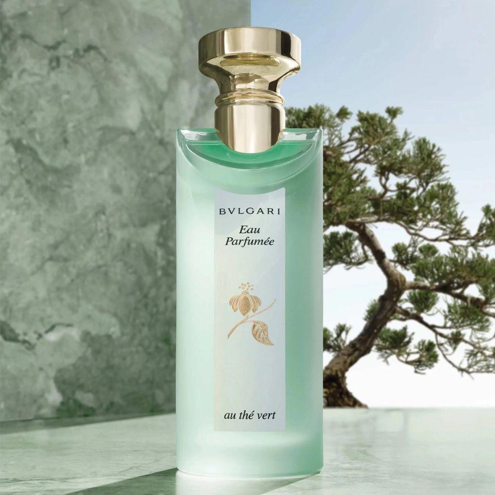 Bvlgari Thé Vert Chá Verde Fragrância Fresca e Aromática