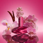 Calvin Klein Euphoria Magnetic Elixir Parfum Intense Feminino