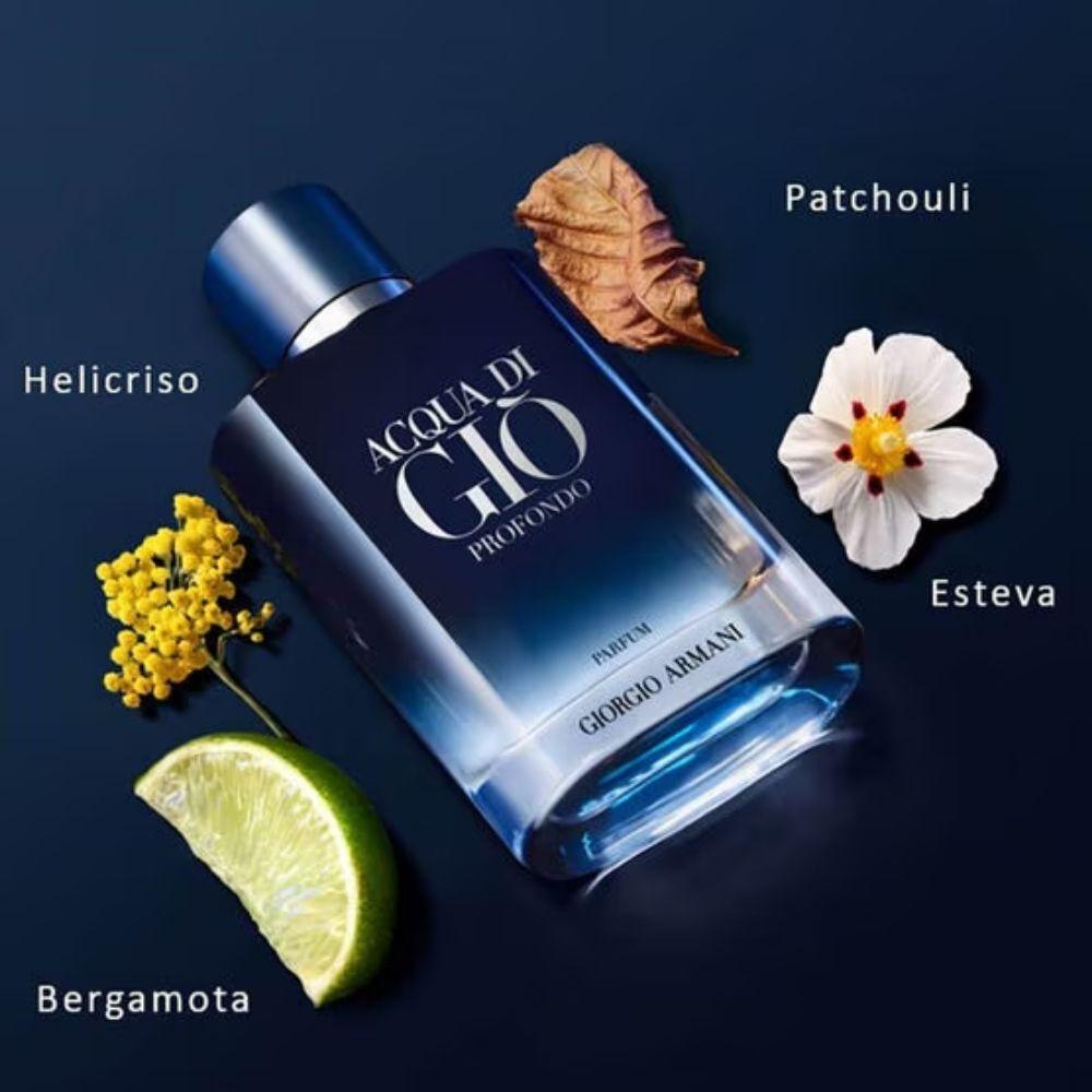 Giorgio Armani Acqua Di Gio Profondo Parfum Masculino