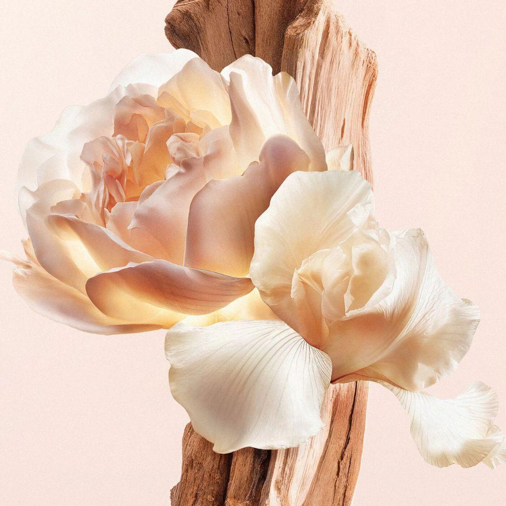 Givenchy Irresistible Nude Velvet Eau de Parfum Feminino