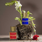 Nishane B-612 Extrait de Parfum Unissex