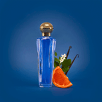 Shakira Dream Eau De Toilette Feminino