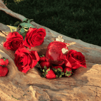 Coach Love Eau de Parfum Feminino