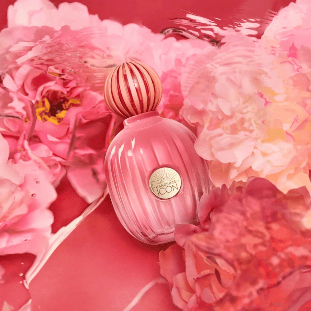 Antonio Banderas The Icon Splendid For Her Eau de Parfum Feminino