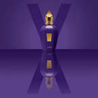 Xerjoff Accento Eau de Parfum Unissex