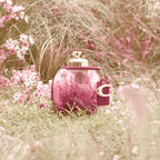 Coach Wild Rose Eau de Parfum Feminino