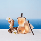 Jean Paul Gaultier Classique Eau de Toilette Feminino