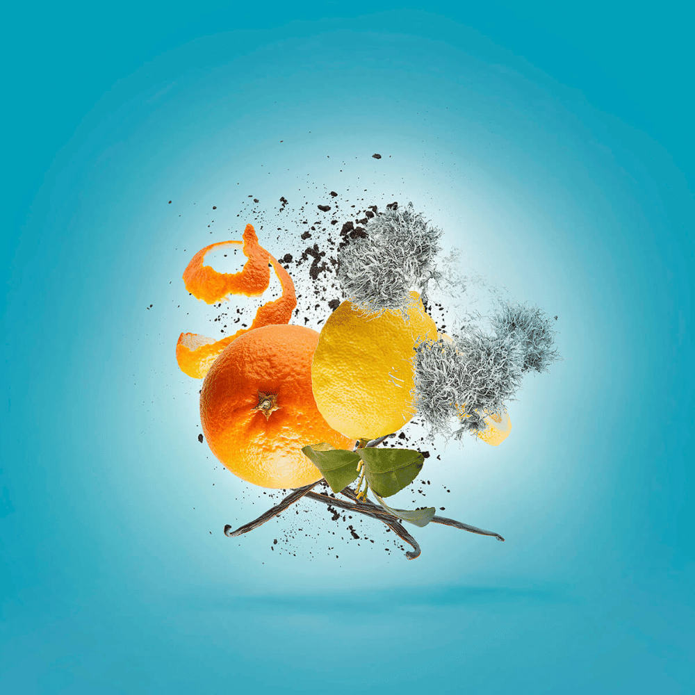 Xerjoff Erba Pura Eau de Parfum Unissex