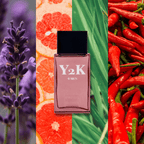 Paris Elysees Y2K Eau de Toilette Masculino