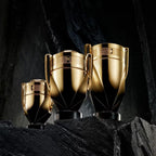 Paco Rabanne Invictus Elixir Parfum Masculino