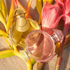 Rabanne Olympea Elixir Eau de Parfum Intense Feminino