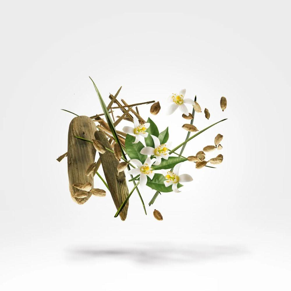 Xerjoff Nio Eau de Parfum Unissex