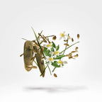 Xerjoff Nio Eau de Parfum Unissex