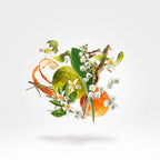 Xerjoff Renaissance Eau de Parfum Unissex