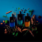 Victorio & Lucchino Aguas Intensas Nº 13 Eau de Parfum