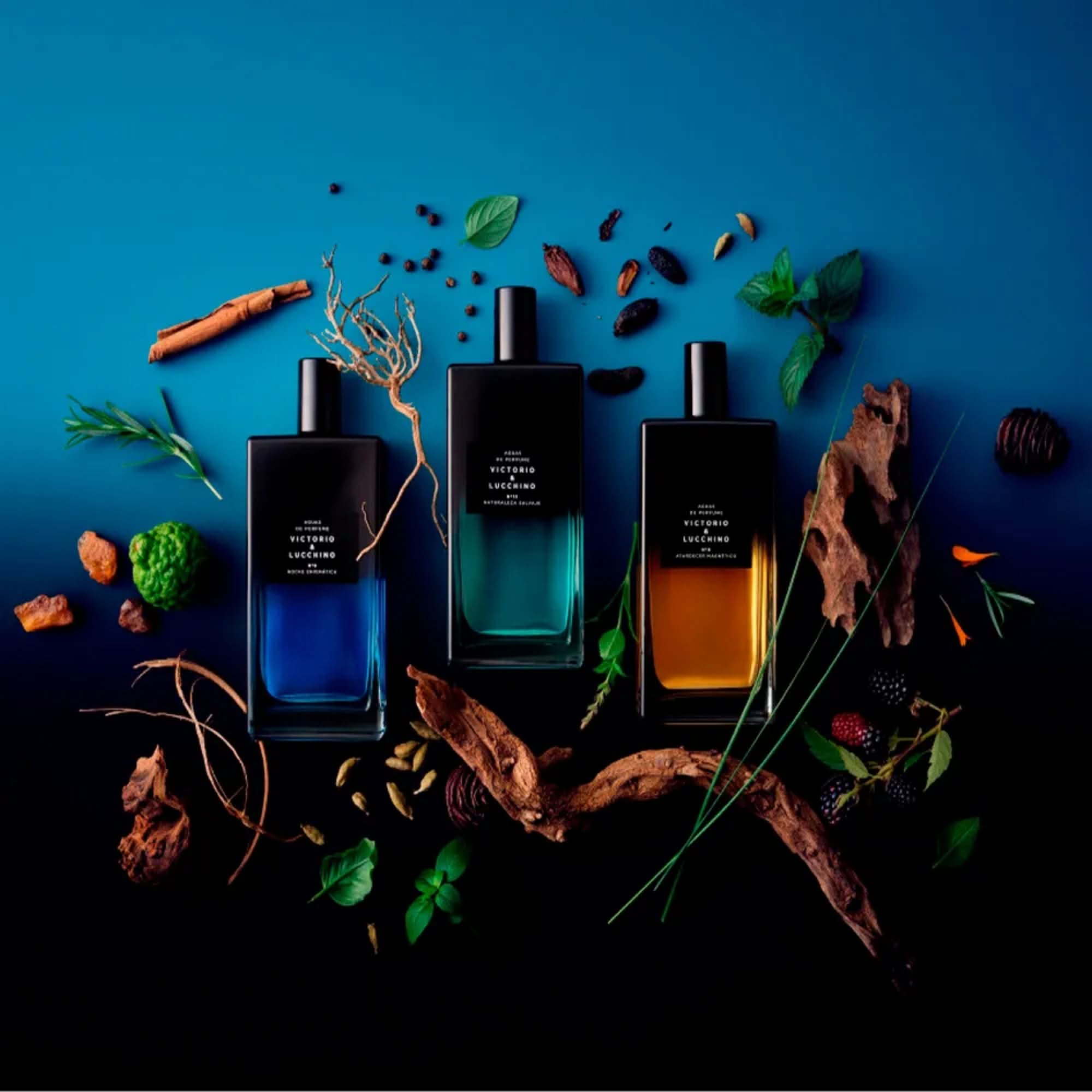 Victorio & Lucchino Aguas Intensas Nº 13 Eau de Parfum