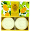 La Florentina Sabonete Boboli Citrus Caixa C/2